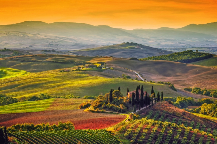 Tuscany landscape at sunrise. Tuscan farm house, vineyard, hills.