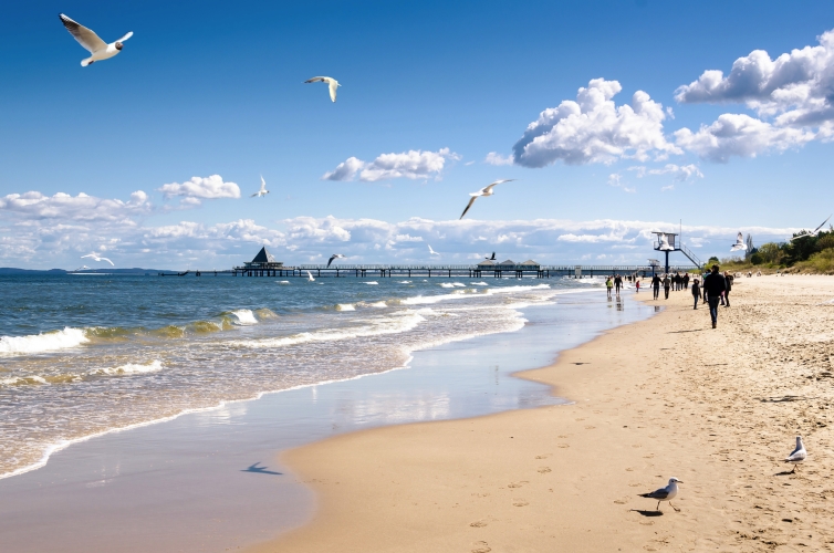 Strandblick zur Seebrücke Heringsdorf auf Usedom, Deutschland