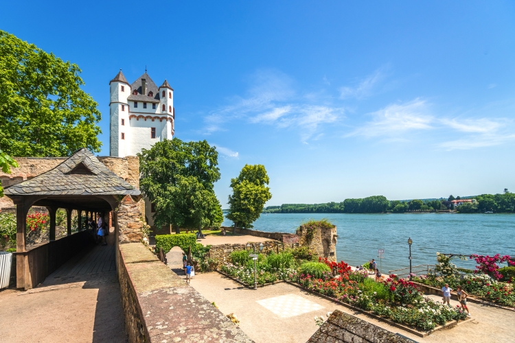 Burg Eltville am Rhein