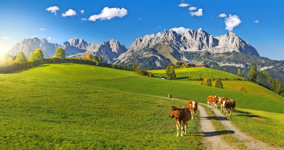 Herbststimmung Wilder Kaiser Tirol