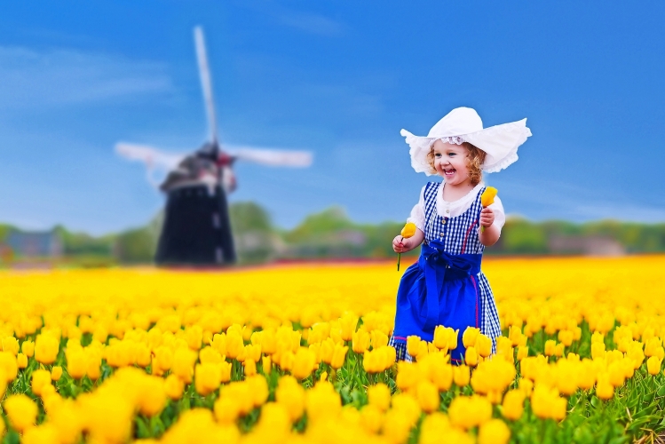 Schönes holländisches Mädchen in Tulpenfeld in Holland